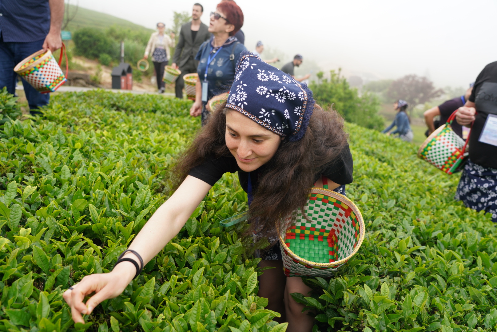 A group of Bulgarian visitors take part in a tea-picking and tasting activity at a tea garden near Dongqian Lake in Ningbo City, Zhejiang Province on May 20, 2024. /Photo provided to CGTN