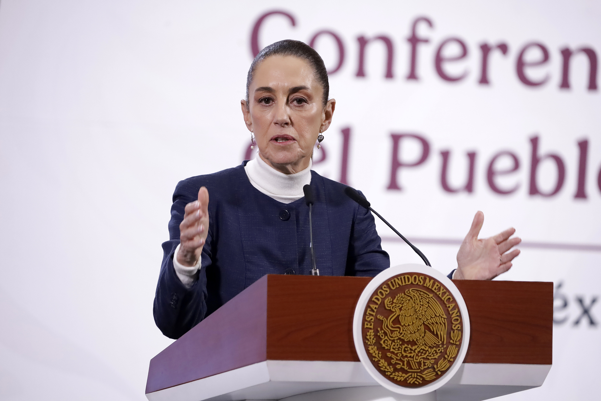 Mexican President Claudia Sheinbaum discusses the one-month pause on U.S. tariffs imposed on Mexico during a briefing in Mexico City, Mexico, February 2, 2025. /VCG