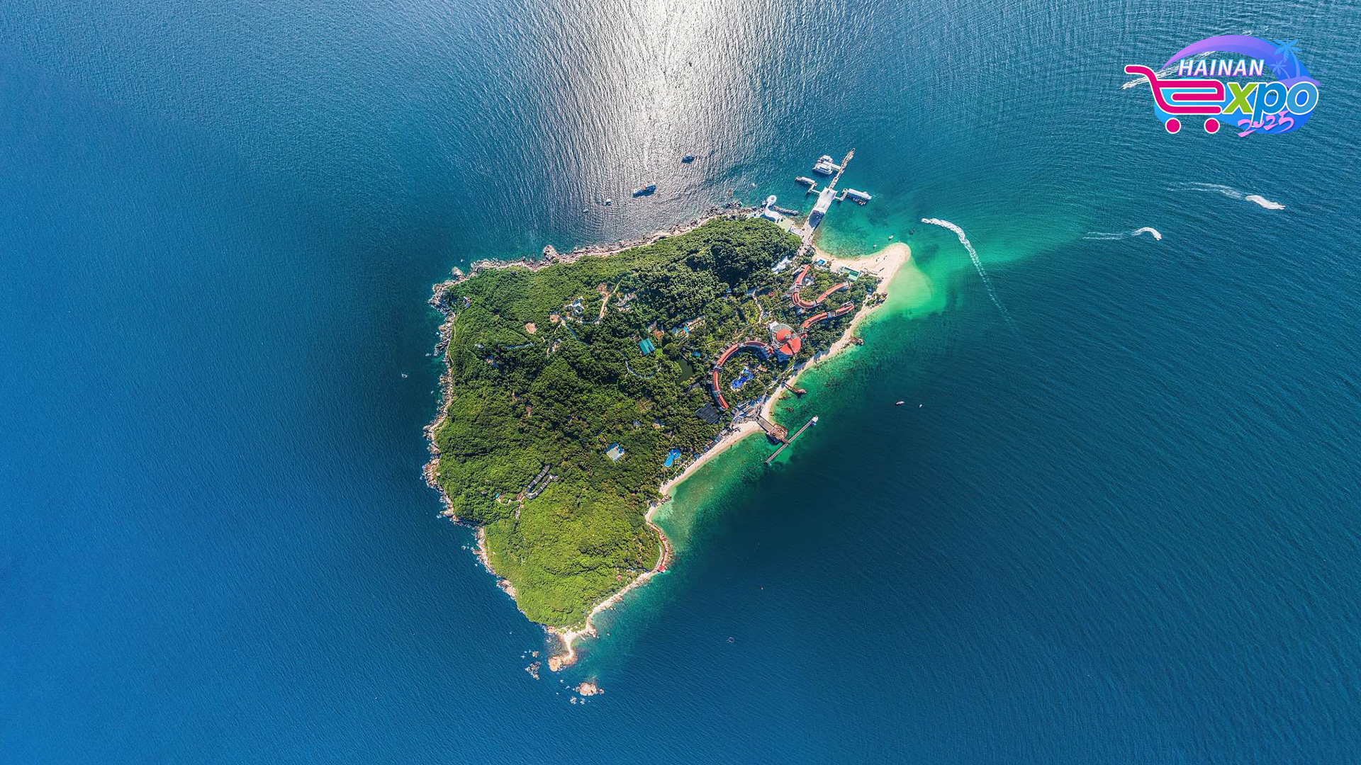 Live: Diving into Hainan Wuzhizhou Island's mesmerizing ocean wonders – Ep. 2