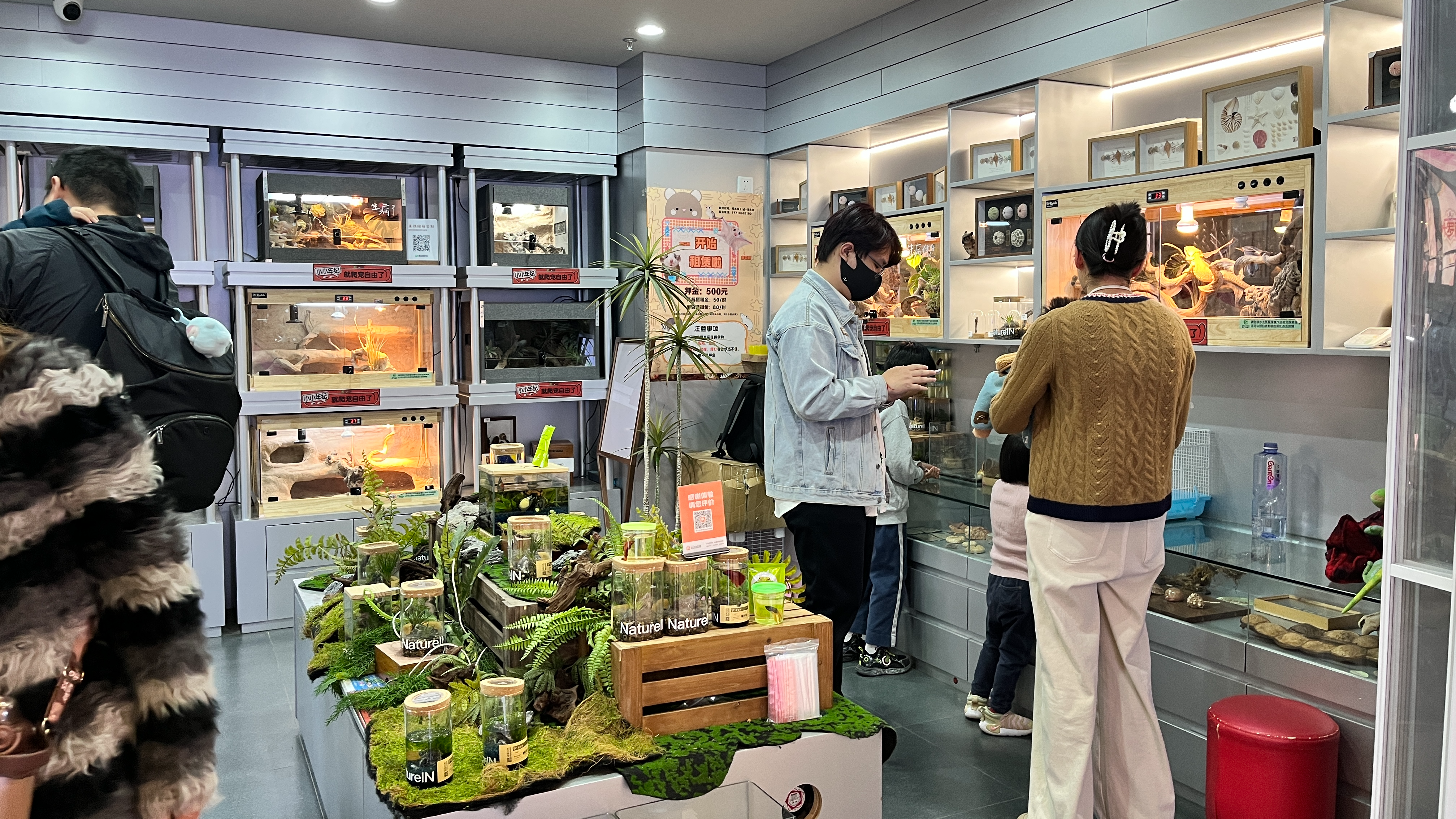 Parents accompany their children at an exotic pet store in Beijing, March 19, 2025. /CGTN