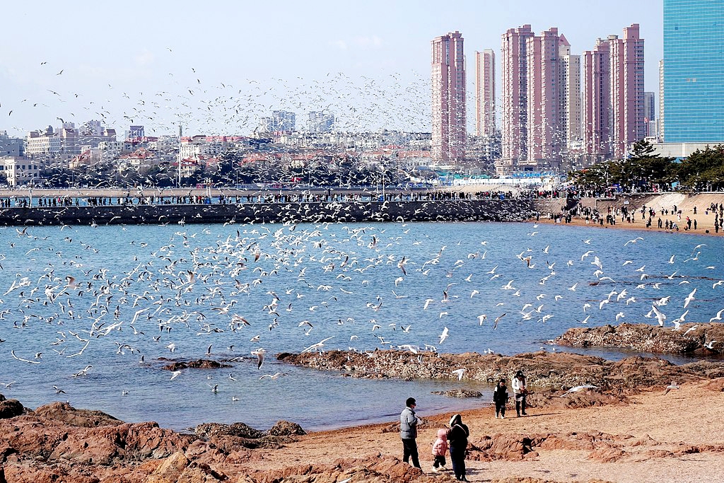Zhanqiao Pier – a popular landmark which also serves as a filming location for many Chinese films – is seen in Qingdao, Shandong Province. /VCG