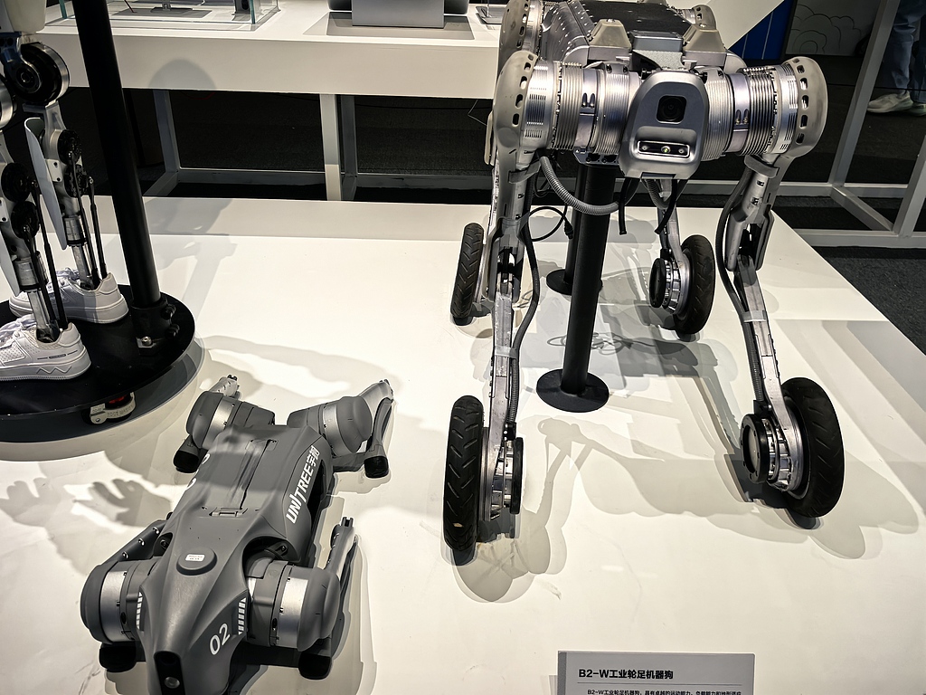 Robots developed in Sichuan are on display at the National Museum of China in Beijing on May 5, 2025. /VCG
