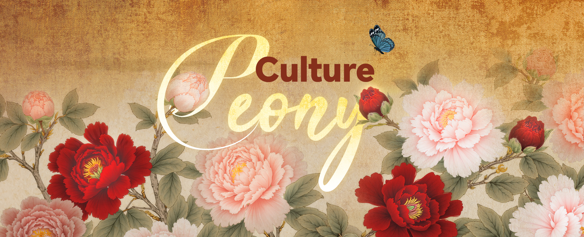 Peony: Culture Bridge – CGTN